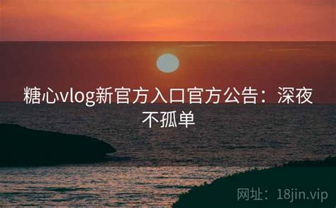 糖心vlog视频